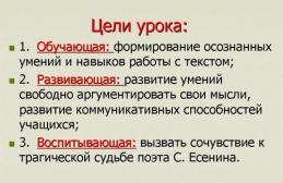 Анализ поэмы С.А. Есенина «Черный человек. «Черный человек» Есенина. Кем был ночной гость поэта? Черный человек есенин краткое содержание брифли